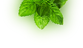 Lernprozess Visual